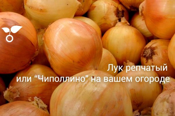 Кракен дарк оригинал ссылка