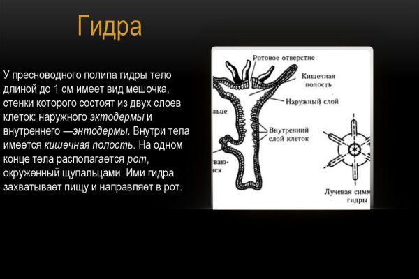 Kraken onion сайта