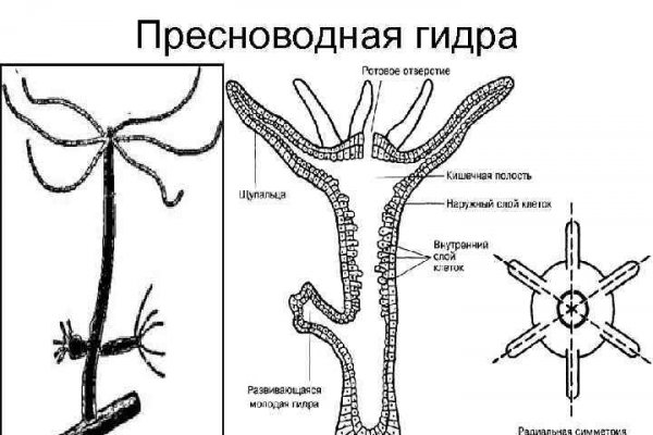 Кракен дарк сайт