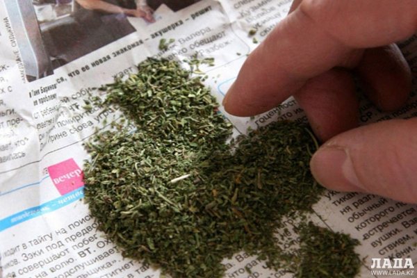 Покупки на кракене даркнет