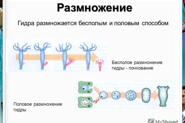 Кракен купить наркоту